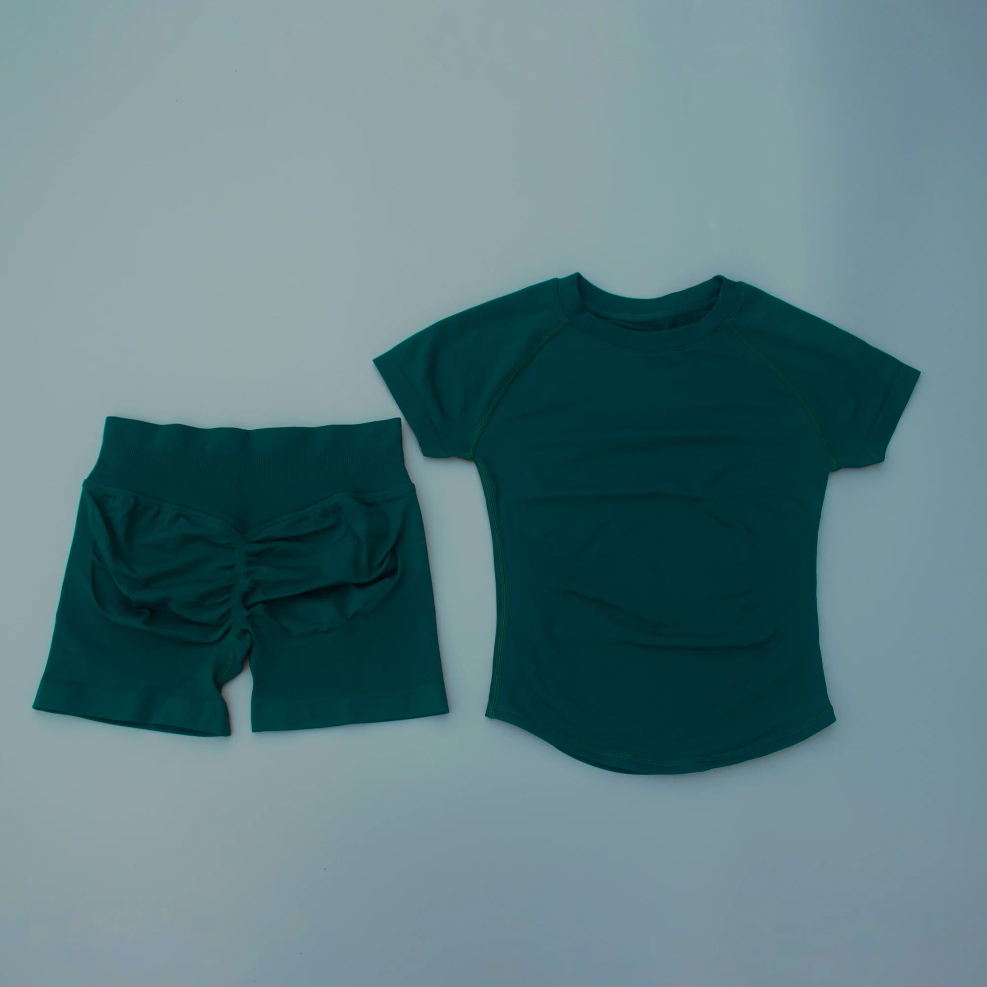 2Pcs Seamless Yoga Set Short Sleeve Crop Top Sports Shorts