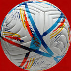 Professional Soccer Ball