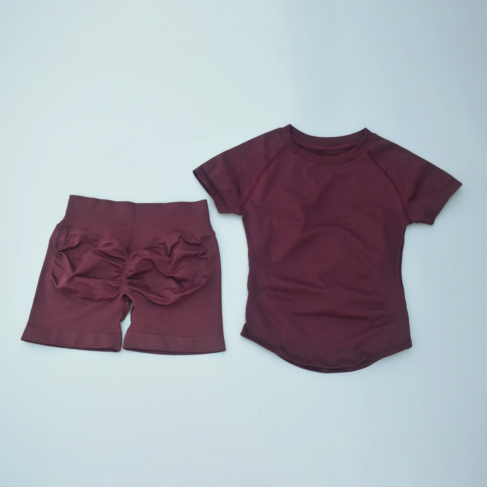 2Pcs Seamless Yoga Set Short Sleeve Crop Top Sports Shorts